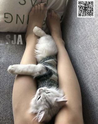50岁的女人私密很紧_4K高清迅雷在线观看